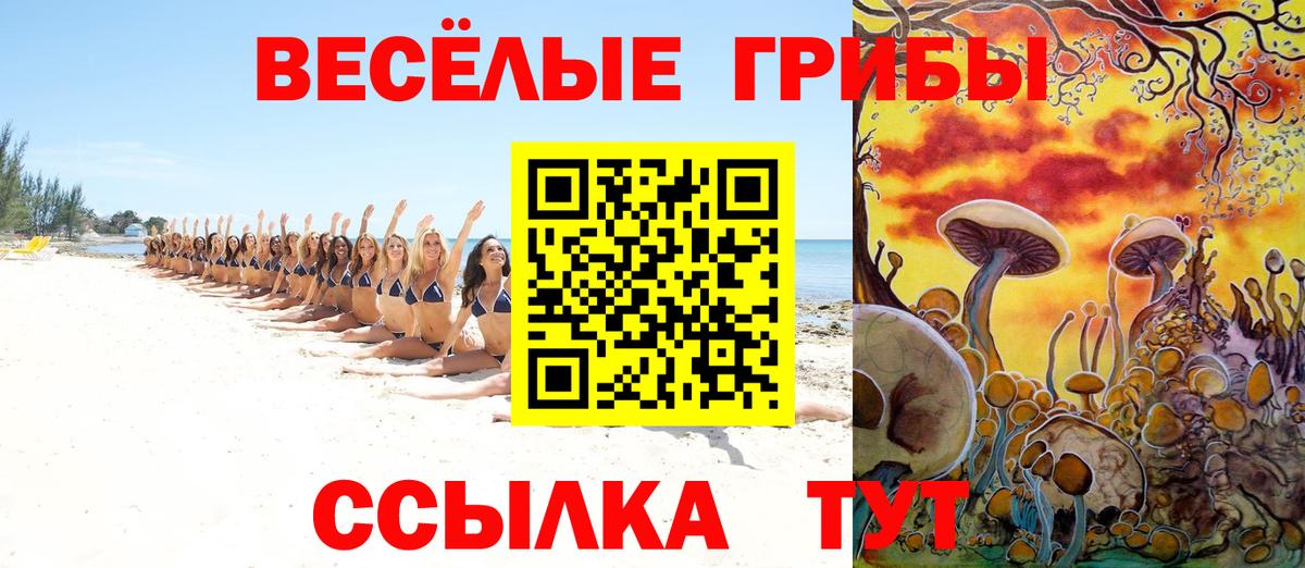 Псилоцибиновые грибы MAGIC MUSHROOMS  Вход с VPN  как найти закладки  Галлюциногенные грибы прущие грибы  Можайск 